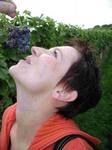 Wein & Kulturfahrt 2004